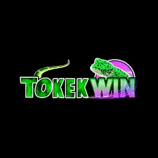 TOKEKWIN - Pengelola Kekayaan Miliarder